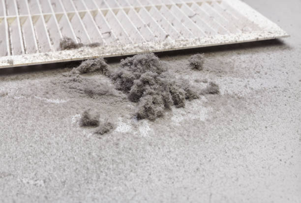 Best Professional Duct Cleaning Services  in Murfreesboro, TN